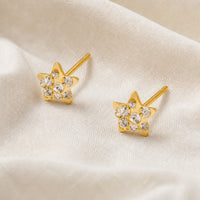 Micro Star Stud Earrings